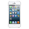 Apple iPhone 5 16Gb white - Лабытнанги