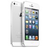 Apple iPhone 5 64Gb white - Лабытнанги